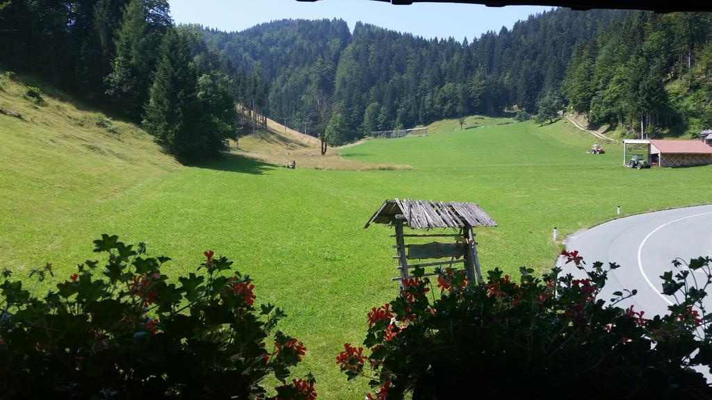 Brunarica Bled Zatrnik Pokljuka Quarto foto