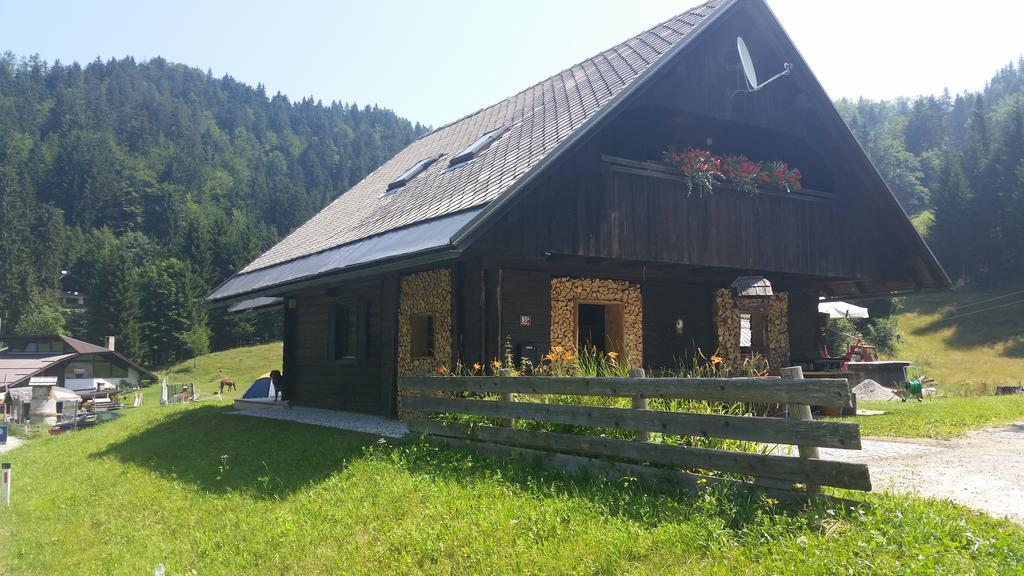 Brunarica Bled Zatrnik Pokljuka Quarto foto