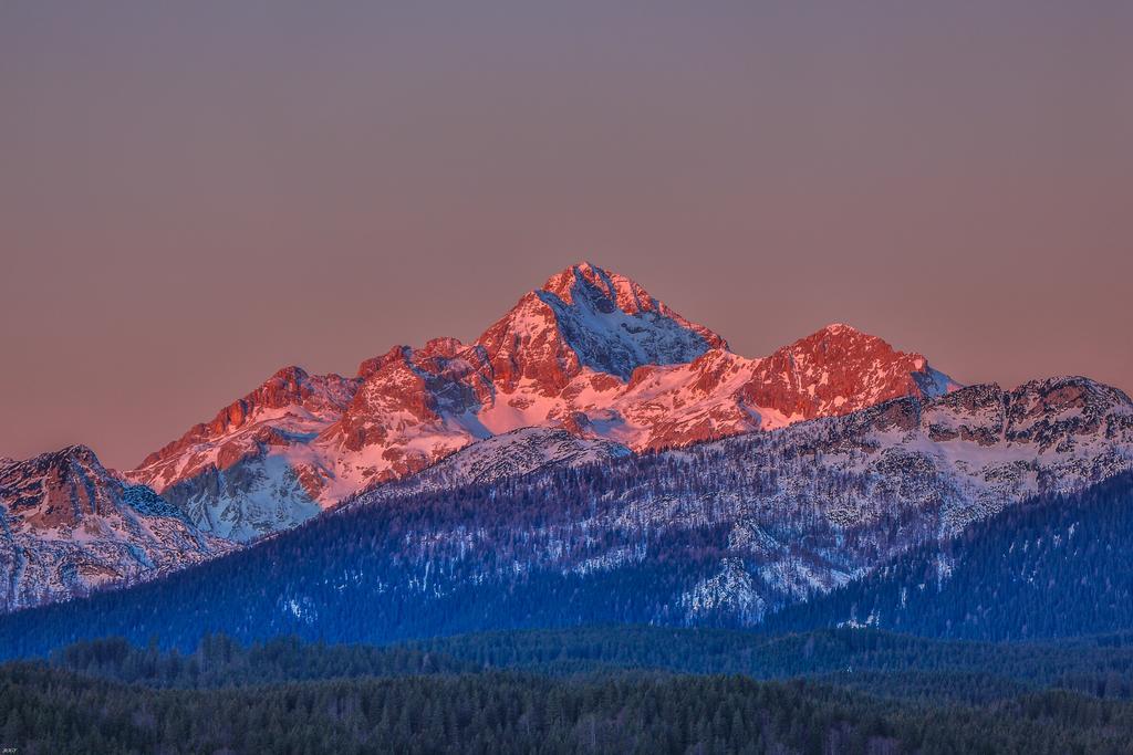 Brunarica Bled Zatrnik Pokljuka Exterior foto